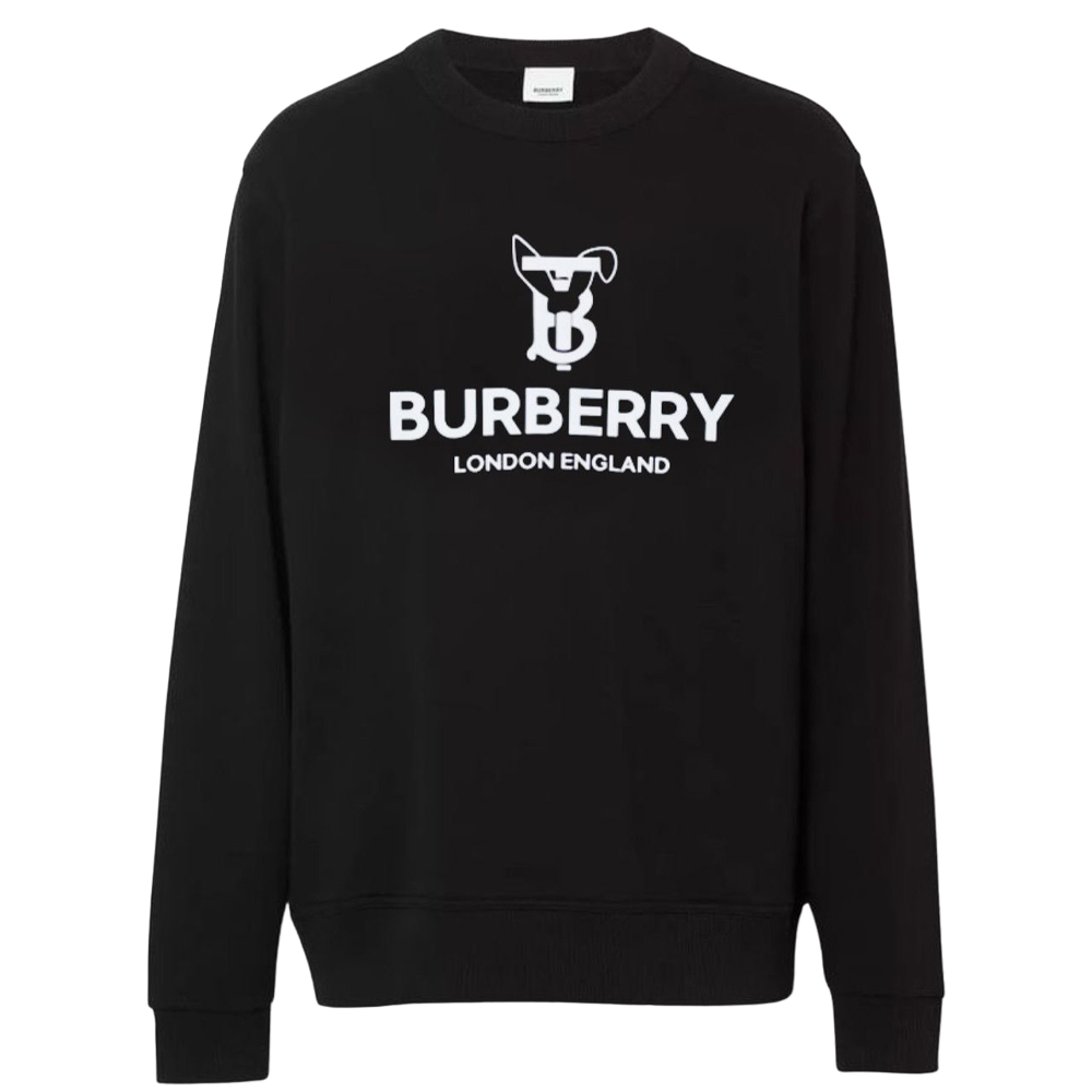 LATEST TRENDY ROUND NECK PULLOVER FOR MEN