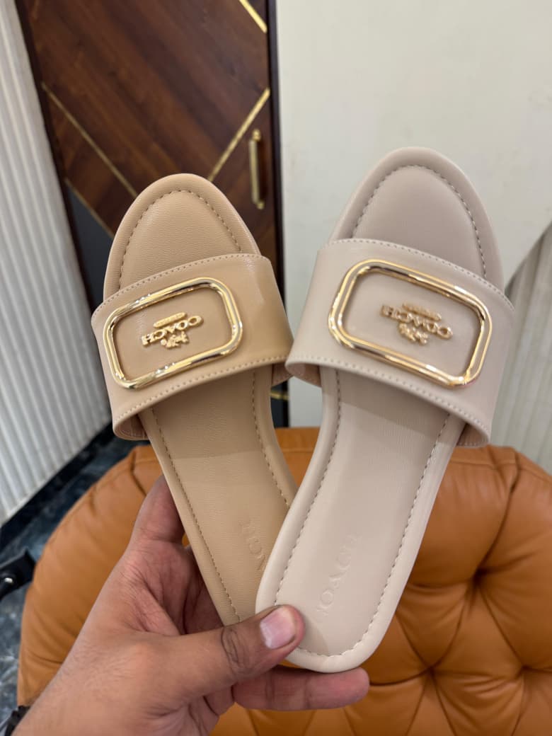 Premium Slides for Women